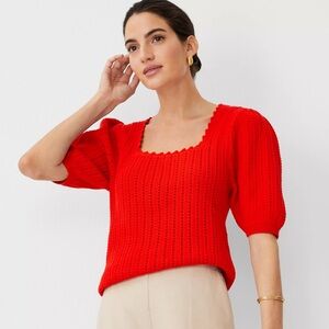NWT Ann Taylor Crochet Square Neck Sweater Size L